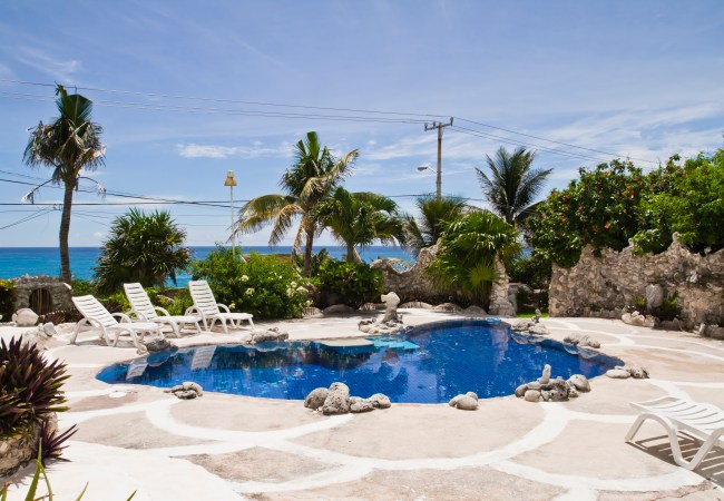 86990450_original-650x450