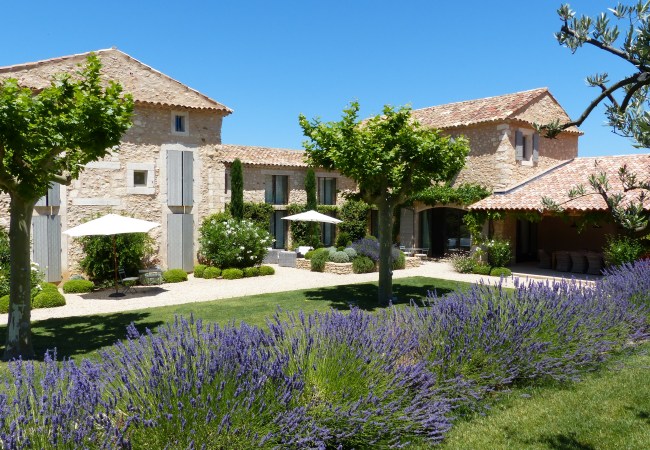 b1c709b7-e3cc-4f84-b38f-ae6ed44e9855-650x450