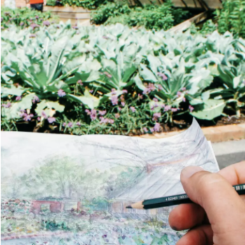 Screen Shot 2018-01-11 at 16.46.46