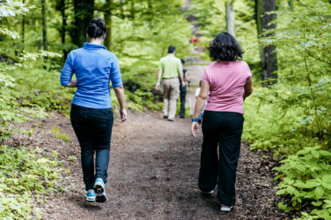 Vista de tres personas de espalda caminando en un sendero en medio de la naturaleza