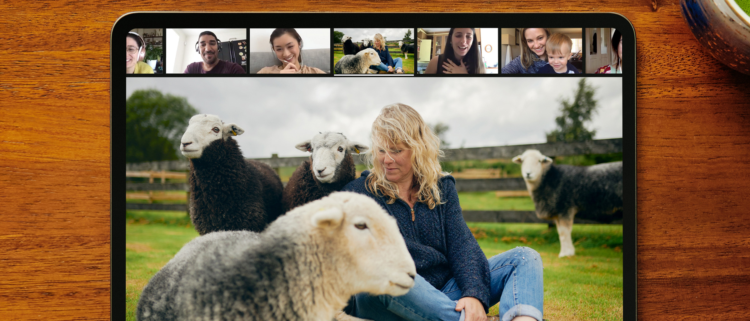 Online Experience Guided Meditation With Sleepy Sheep