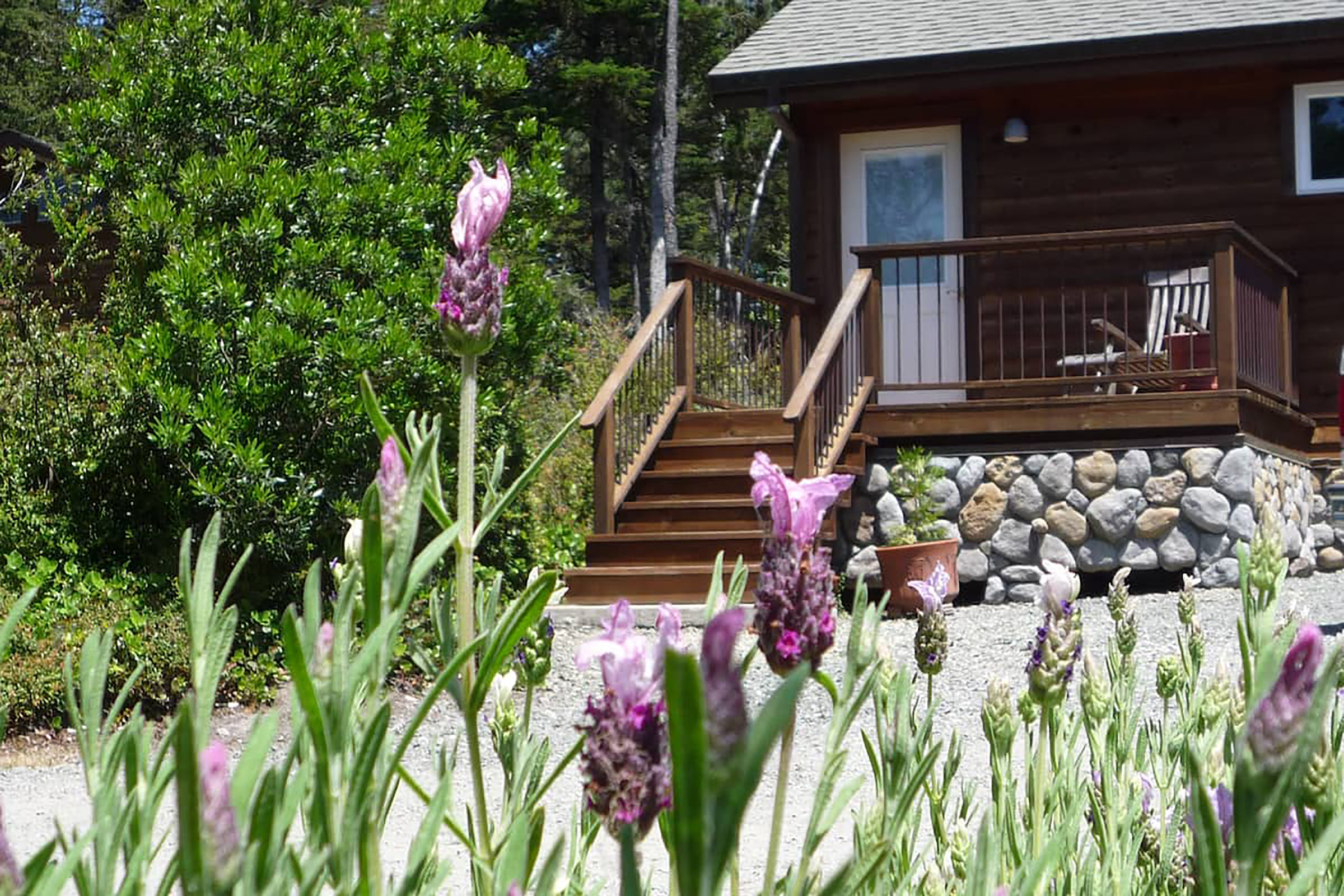 Purple flowers set in front of the entrance to a brown home with a white door.