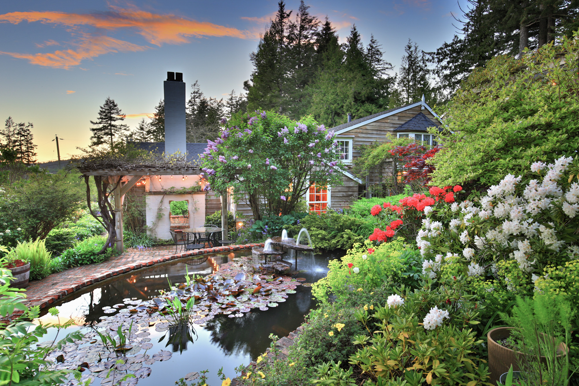 Backyard with a pond and lush vegetation 