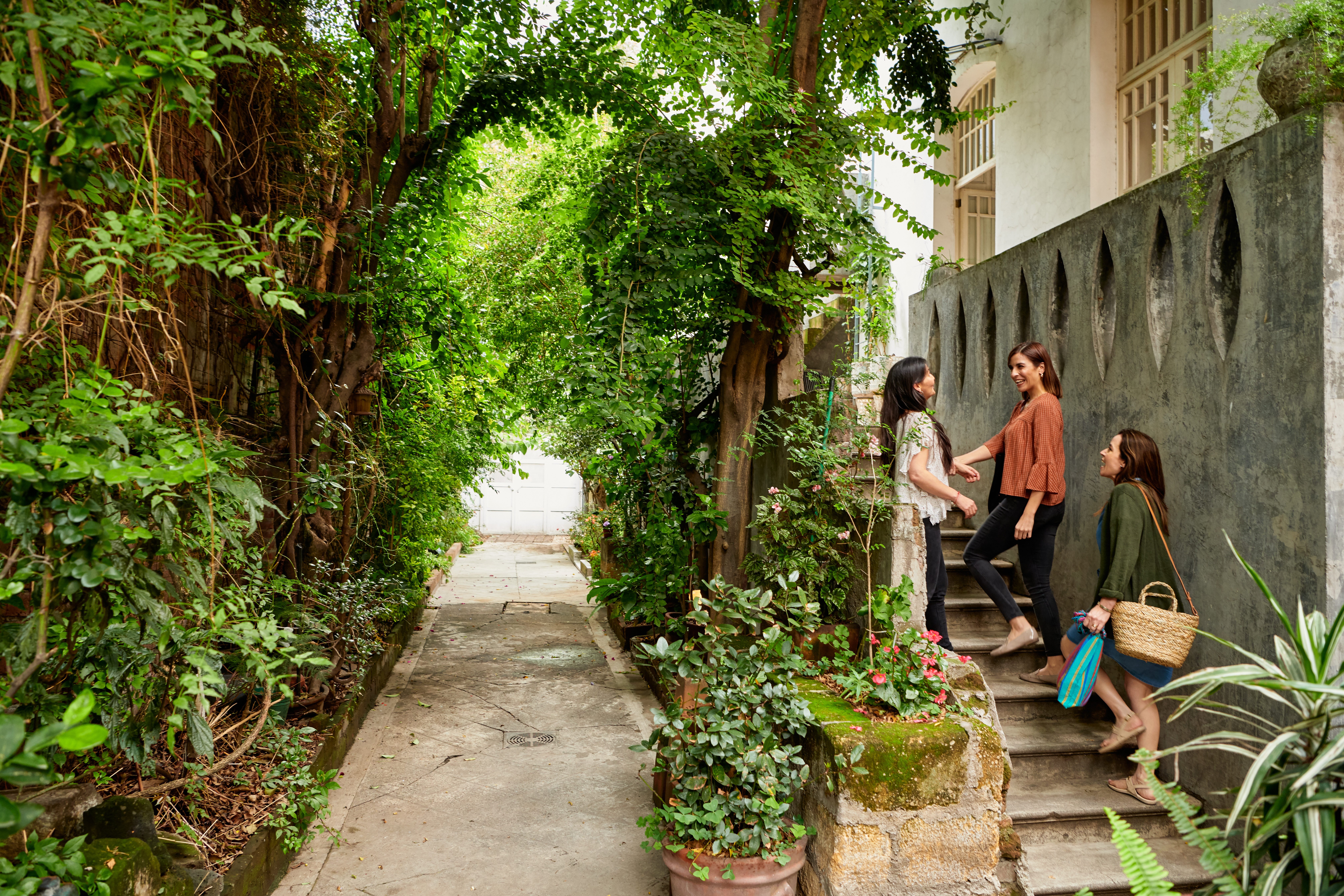 To the right: Women shaking hands in a Mexico city street. To the left trees and the sidewalk