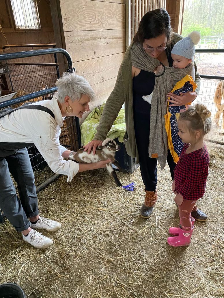 Little girl with mother and baby meeting a baby goat in a woman's arms