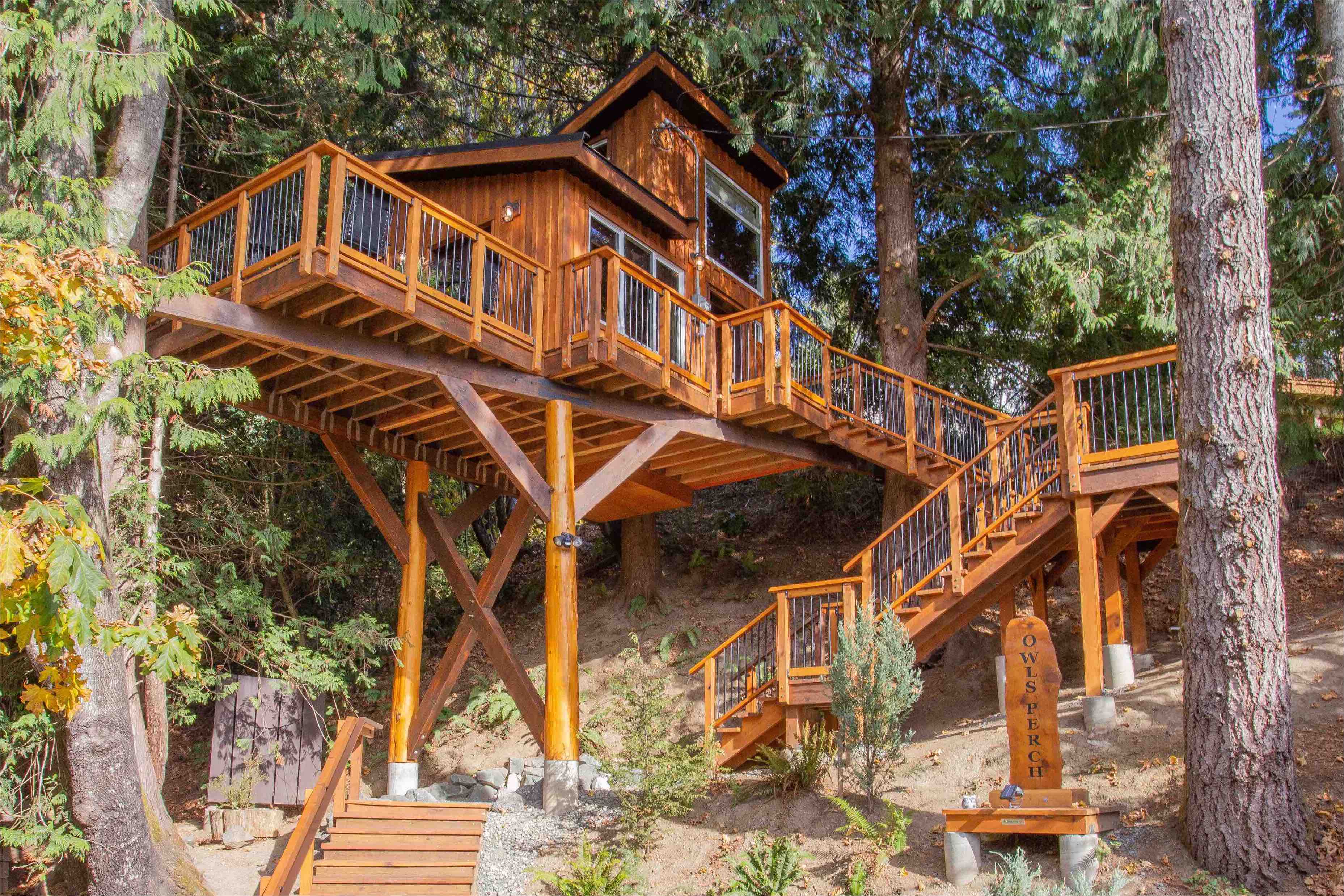 Wooden stairs lead up to a large treehouse. A sign reading "Owl's Perch" greets you at the entrance.