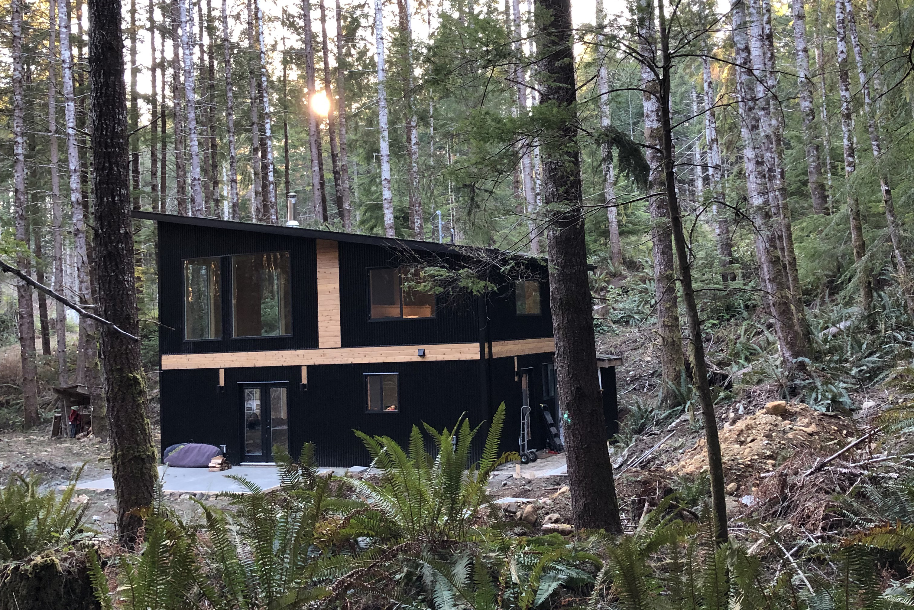 Black slanted room cabin sitting amongst the trees with ferns in the foreground on a sunny day.
