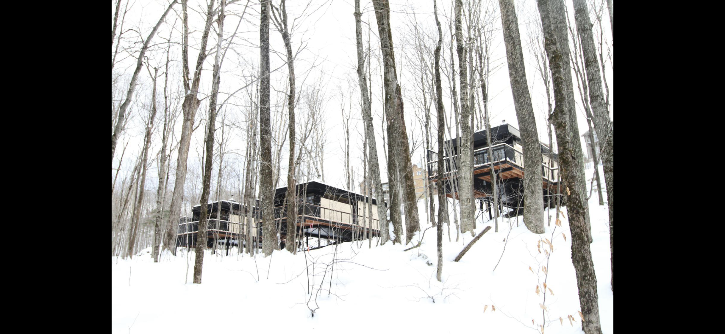 Three elevated cabins sit atop a snowy hill behind a forest of bare winter trees.