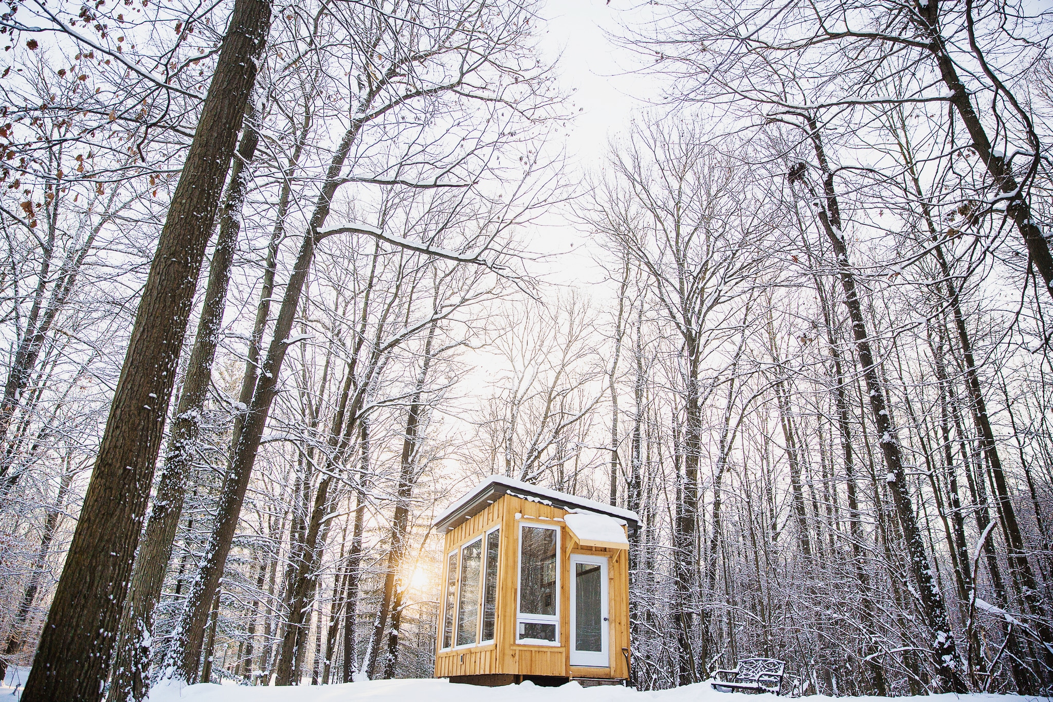 A small square wood cabin in a snowy field surrounded by snow capped wintry thin trees.