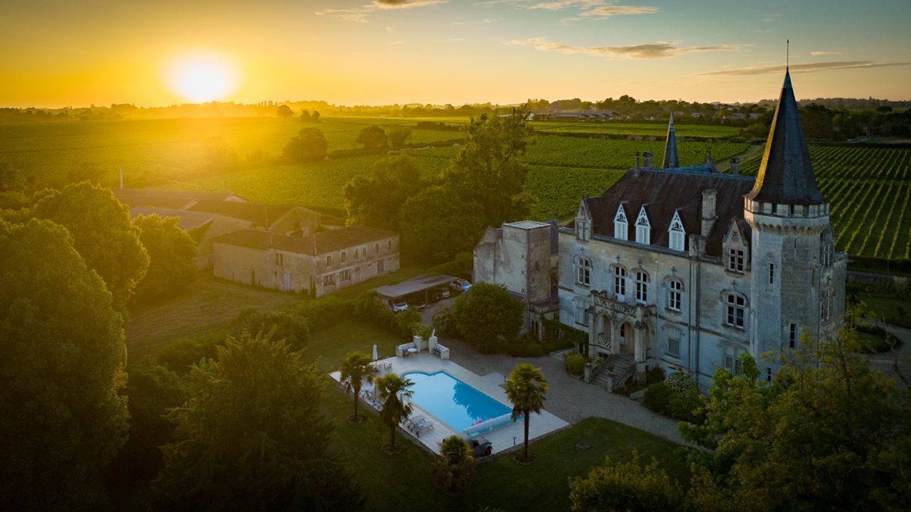 castle close to vineyards in France