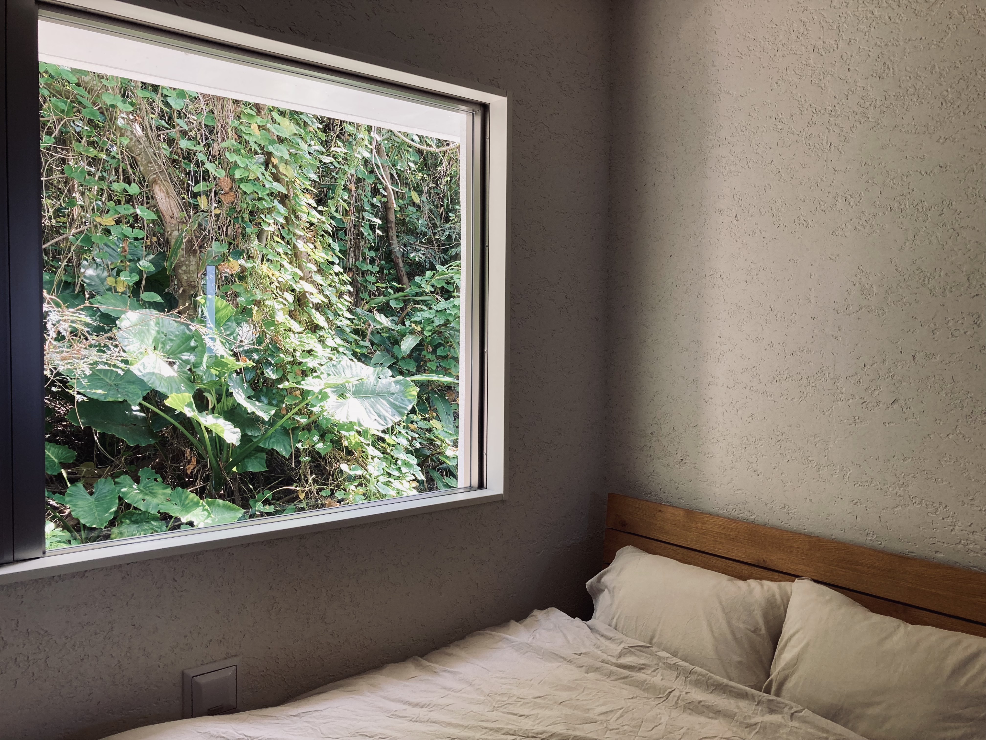 Blue Zones - Okinawa, Japan