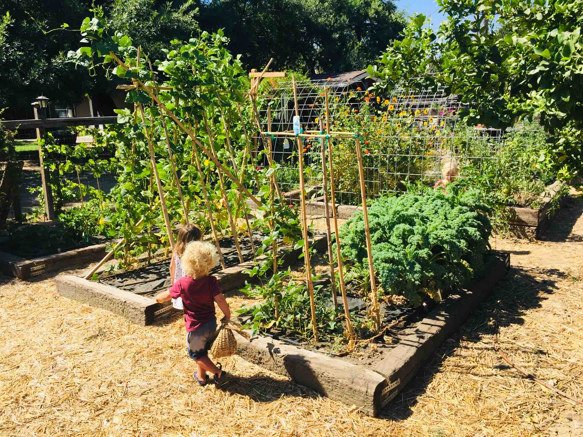 Blue Zones - Loma Linda, United States