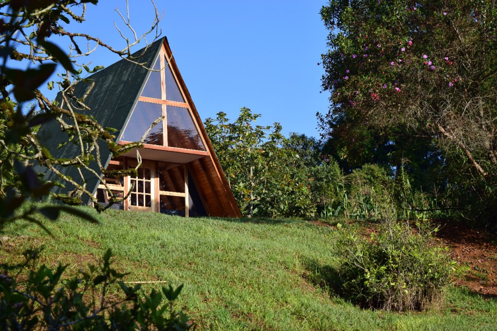Side view of an A Frame home in the middle of the trees and green grass
