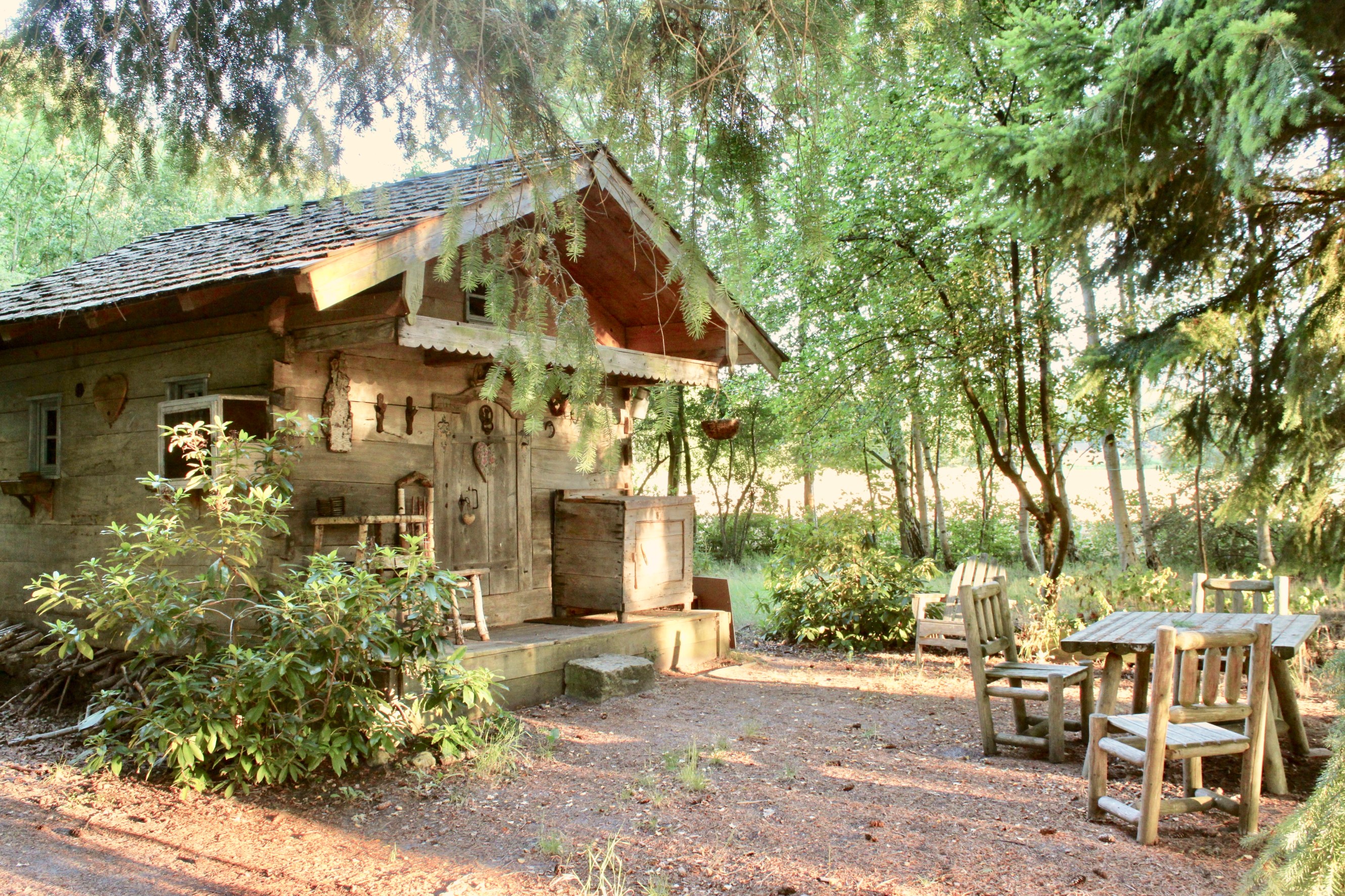 Exterior shot of a charming timber chalet in a woodland setting.
