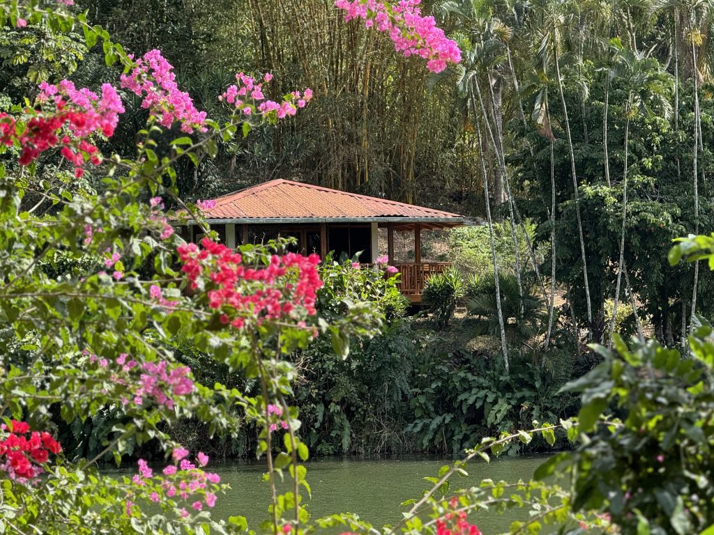 Cabin located in lush greenery