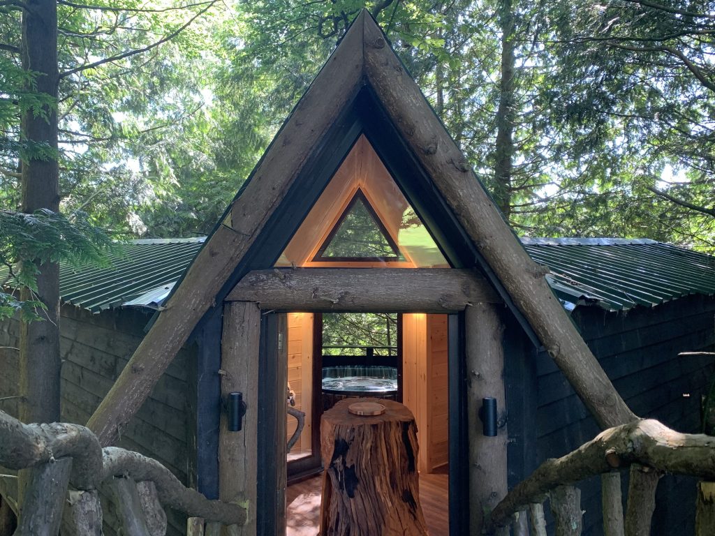 A-frame cabin surrounded by trees