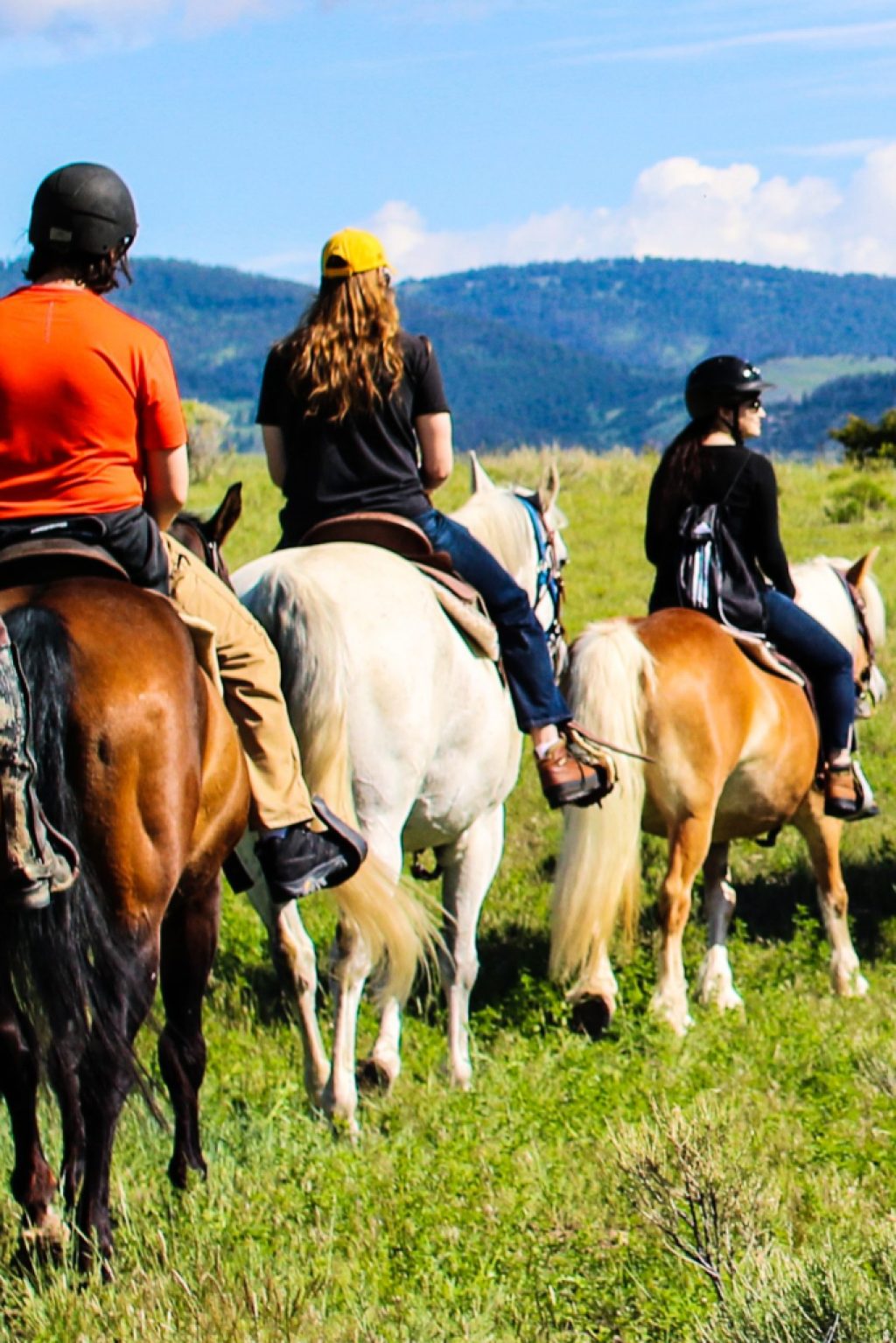 5 people riding horses