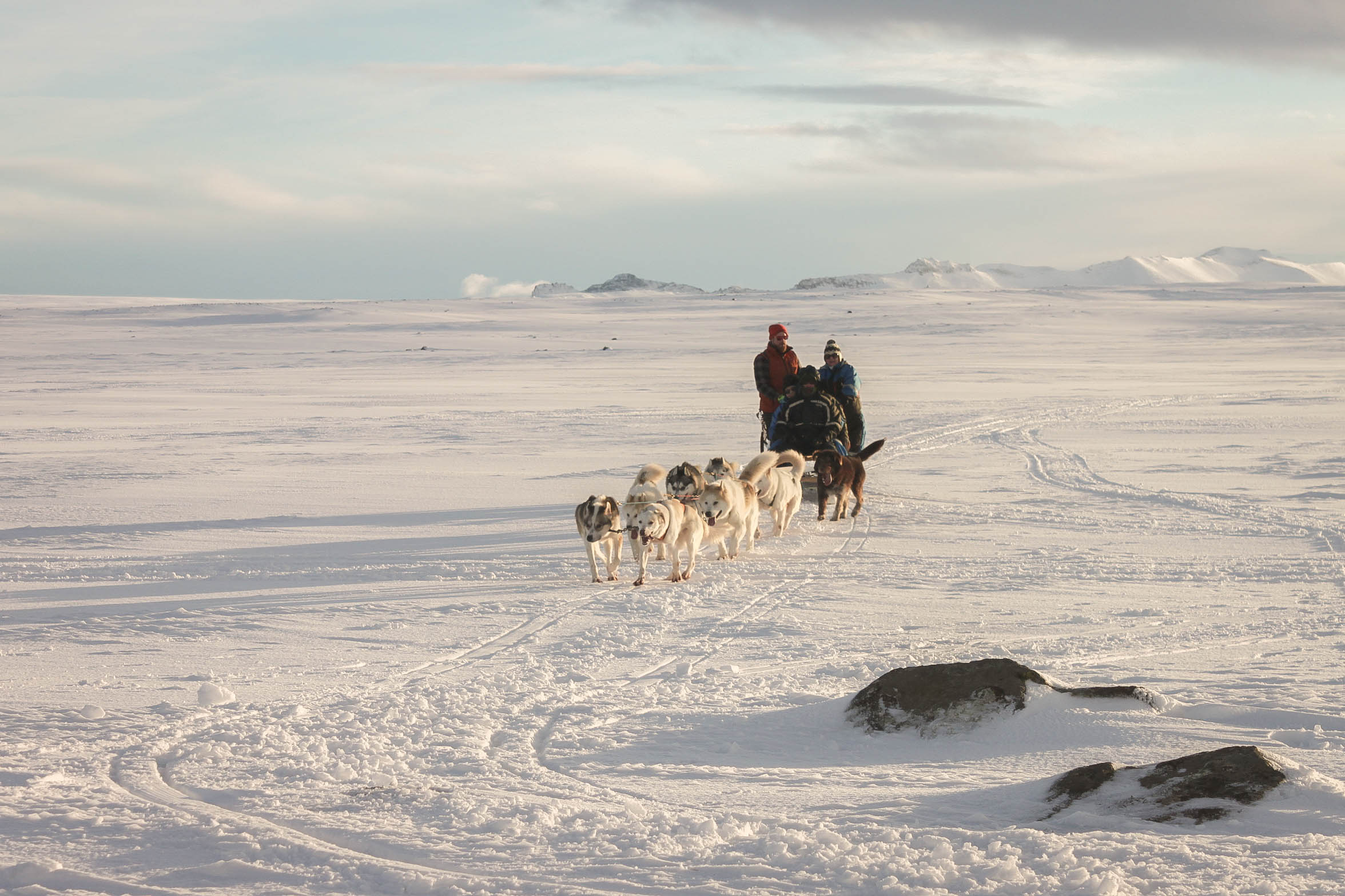 A team of sled dogs pulls a sled carrying several people across a vast, snowy landscape under a cloudy sky.