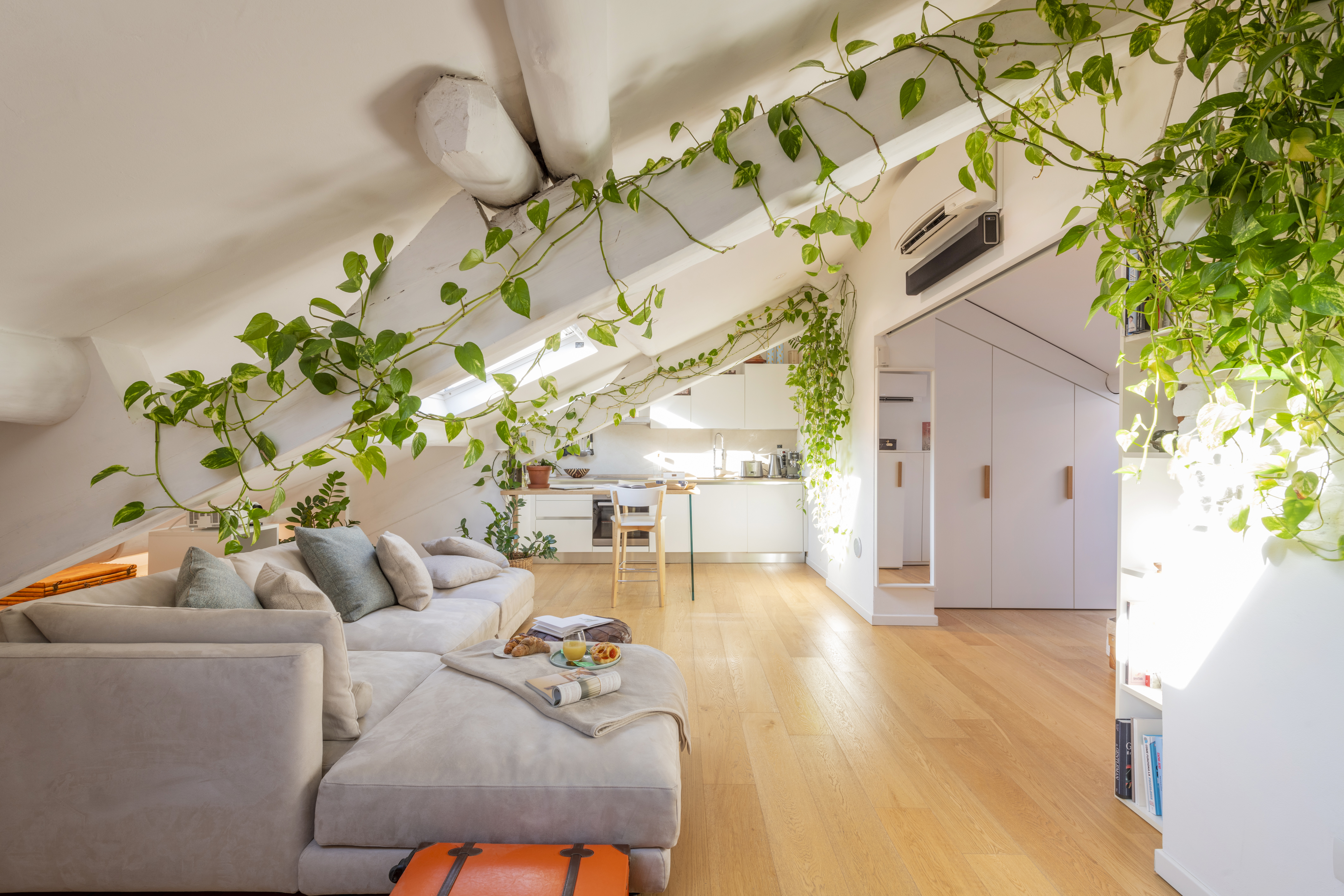 Bright attic living space adorned with lush green vines, cozy neutral furnishings, and an inviting modern kitchen.