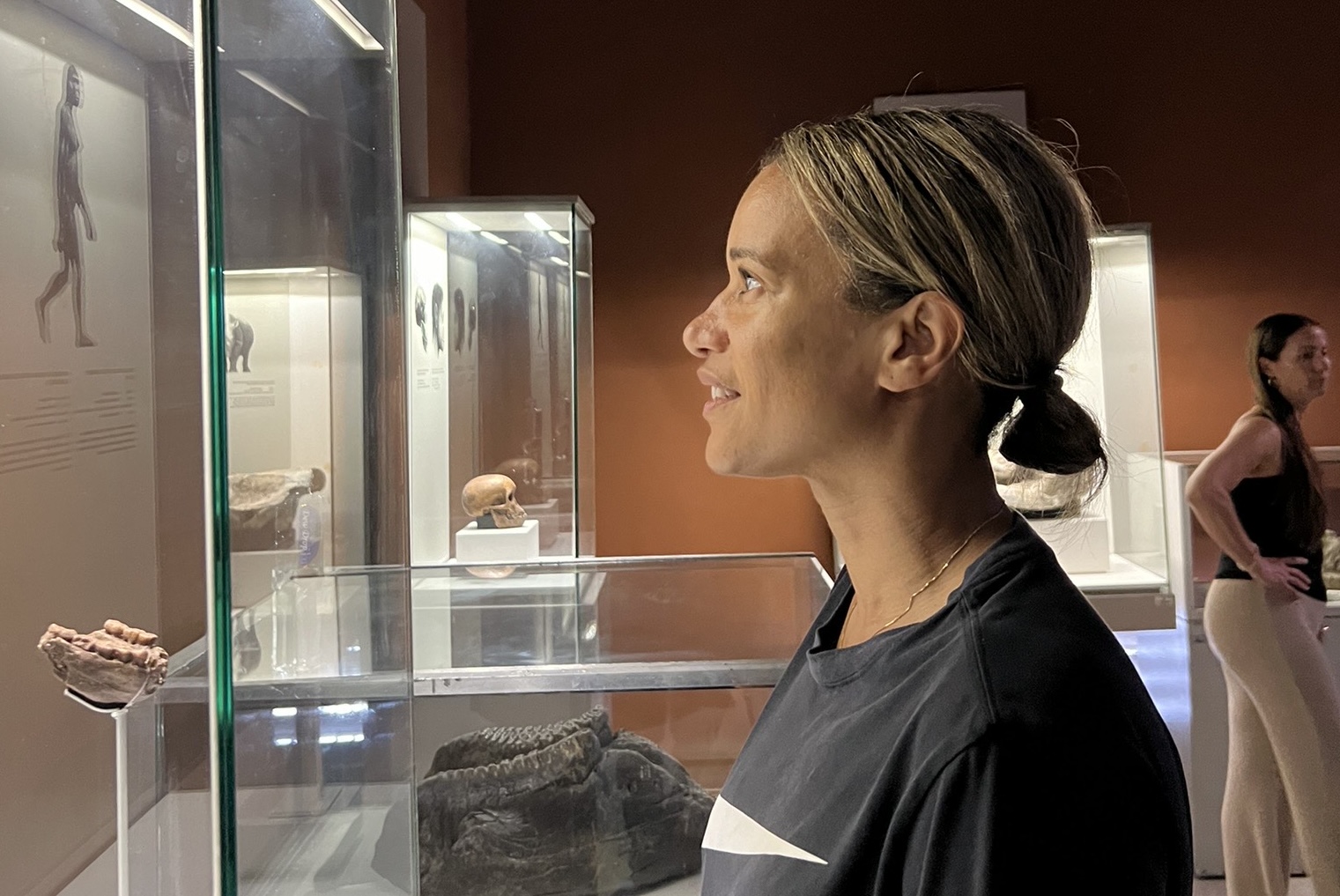A visitor stands inside a museum, observing ancient skulls and fossils displayed in glass cases under soft lighting.